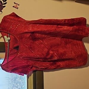 Beautiful Dressbarn Classy Blouse 👚